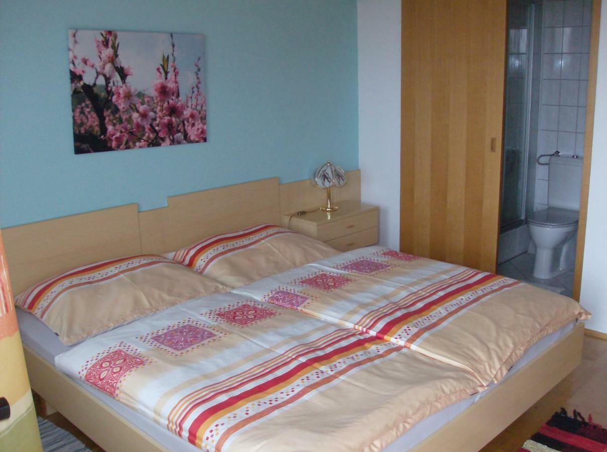 Apartmán Haus Renarth - Michaela Pro Kitzeck im Sausal Exteriér fotografie